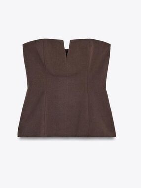 Zara Brown Strapless Top